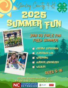 Cover photo for 4-H Summer Fun!