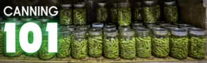 Cover photo for Canning 101: From Prep to Preservation