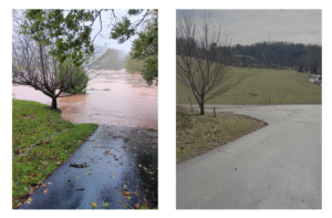 Before and After Hayfield Restoration